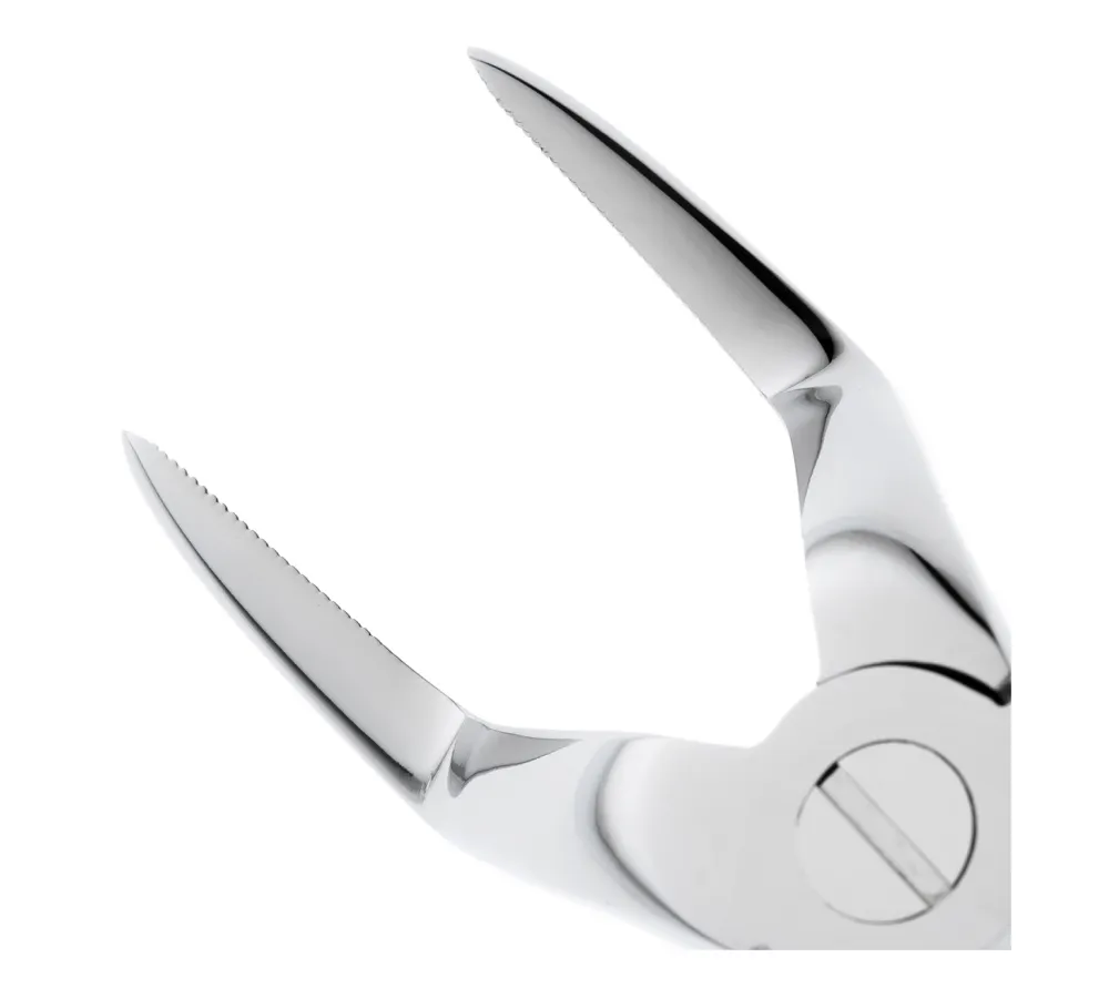 hlw щипцы для удаления зубов верхние ( корневые )  8