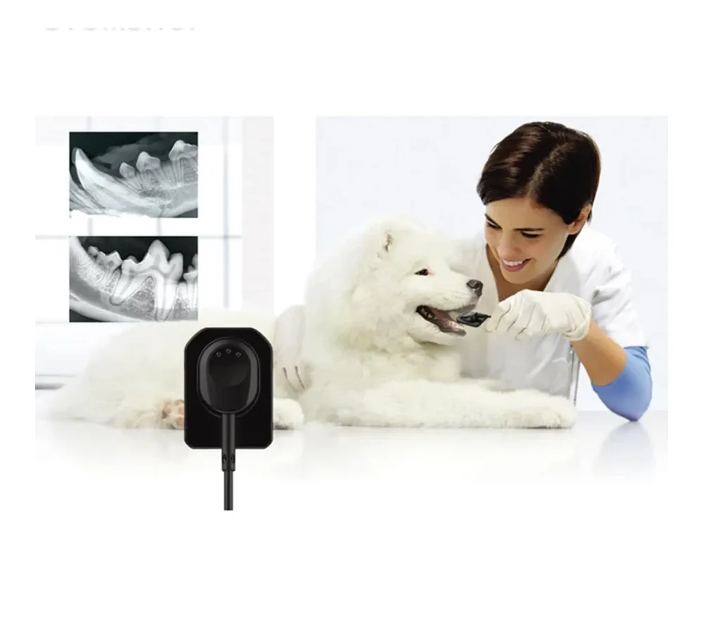 Vatech EzSensor Vet 1.0 цифровой радиовизиограф для ветеринарии  3