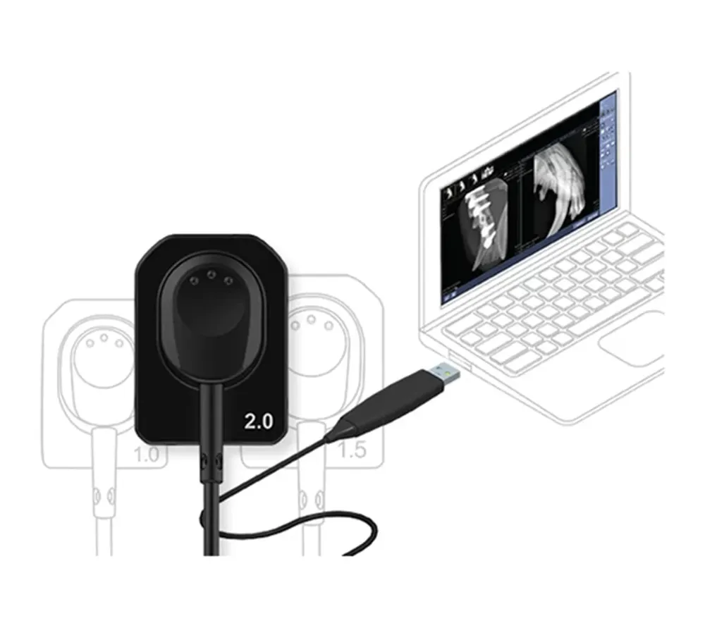 Vatech EzSensor Vet 1.0 цифровой радиовизиограф для ветеринарии  2