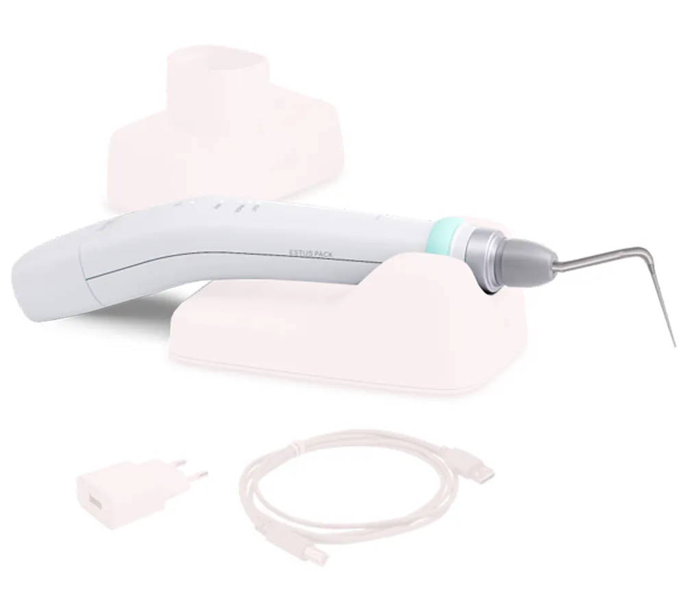 geosoft dent комплект estus pack термоплаггер